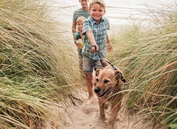 Choosing The Right Pet For Your Family