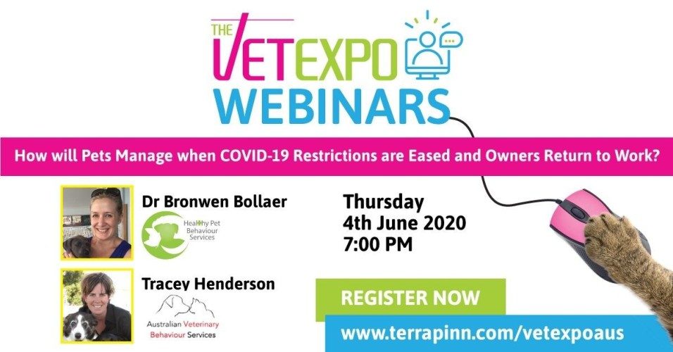 Behaviour Webinar: Vets & Vet Nurses